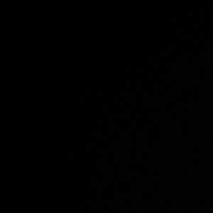 Meet your Posher, Gavin